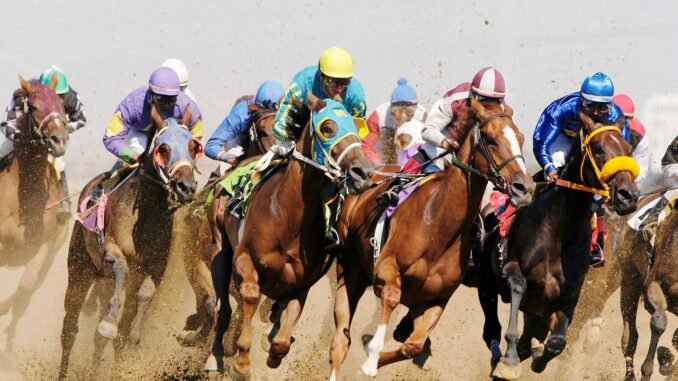 thoroughbreds